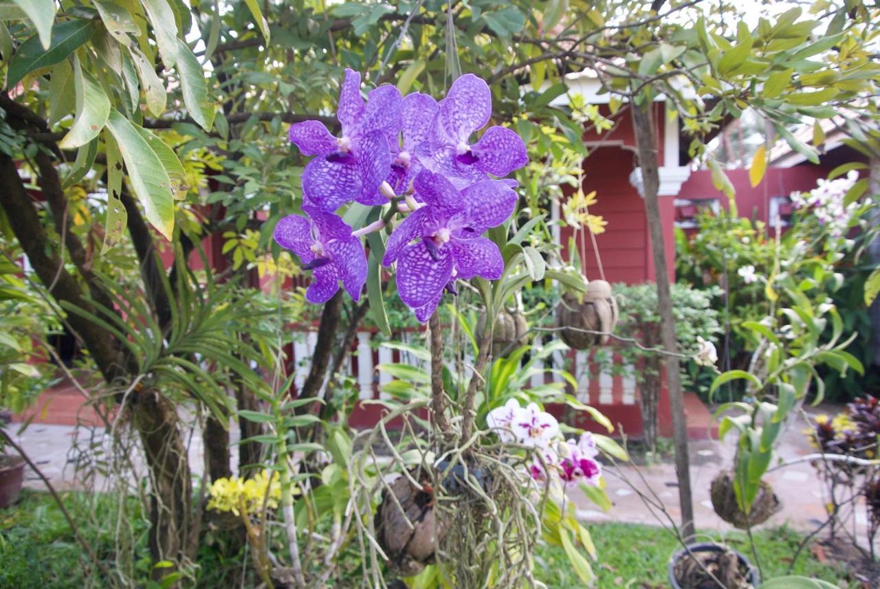 קמפוט Phoumrumduol Bungalow מראה חיצוני תמונה